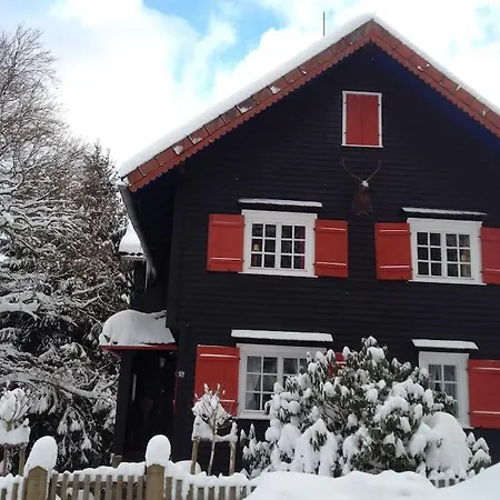 Villa Herzog - Ferienhaus Fuer 6 Personen In Braunlage, Harz Exterior photo