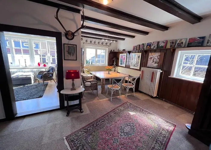 Villa Herzog - Ferienhaus Fuer 6 Personen In Braunlage, Harz